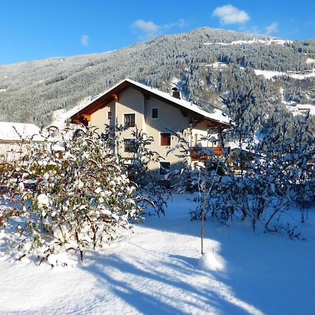 Fewo Lechner Apartment Aschau Im Zillertal Ngoại thất bức ảnh